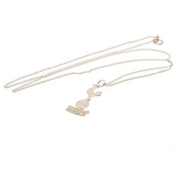 Tottenham Hotspur F.C. Sterling Sølv Halskæde i Gaveæske