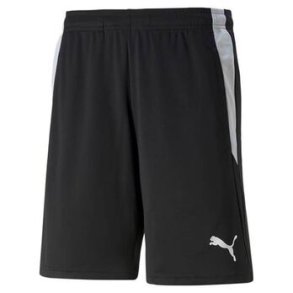 Puma Team Liga Dommer shorts