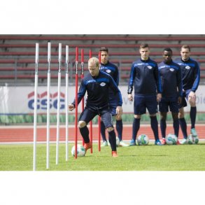 Koordinationsstnger med metalspids til agility - 16 stk.