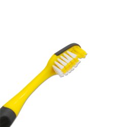 Borussia Dortmund Brnetandbrste