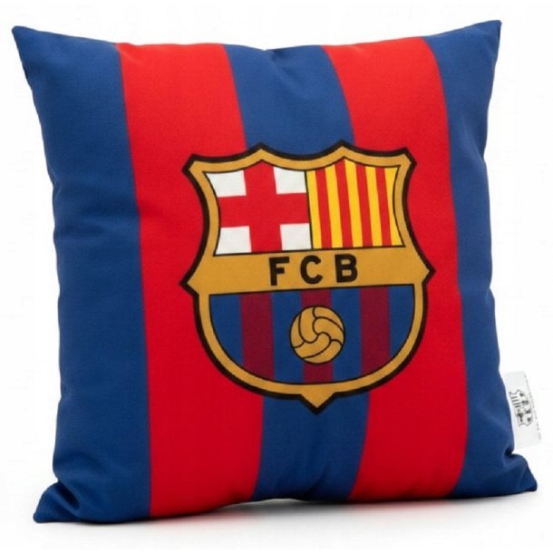 F.C. Barcelona Pude