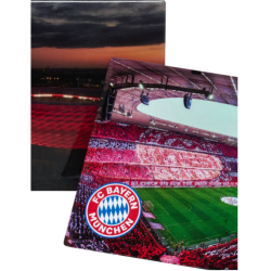 Magnetst med stadion