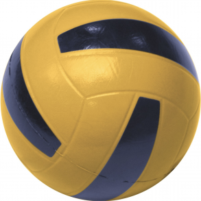 Volleyball Skin Bold