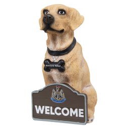 Newcastle United FC Labrador