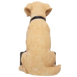 Newcastle United FC Labrador