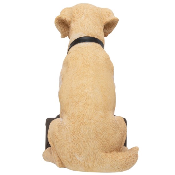 Newcastle United FC Labrador