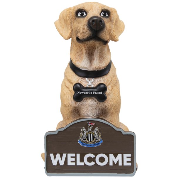 Newcastle United FC Labrador