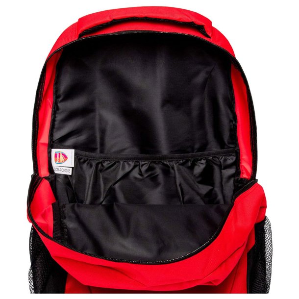 Arsenal F.C. Rygs�k