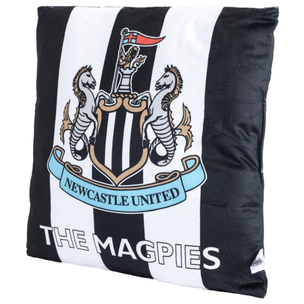 Newcastle United FC Pude