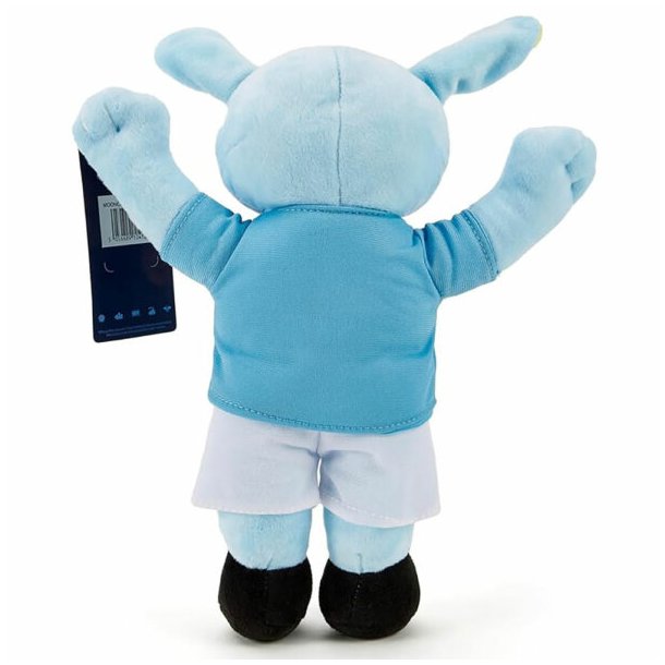 Manchester City FC Maskot Bamse