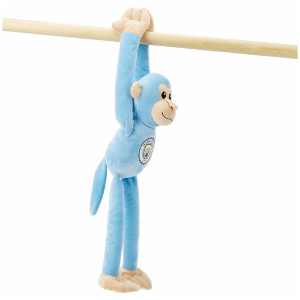 Manchester City FC Hngende Abe Bamse