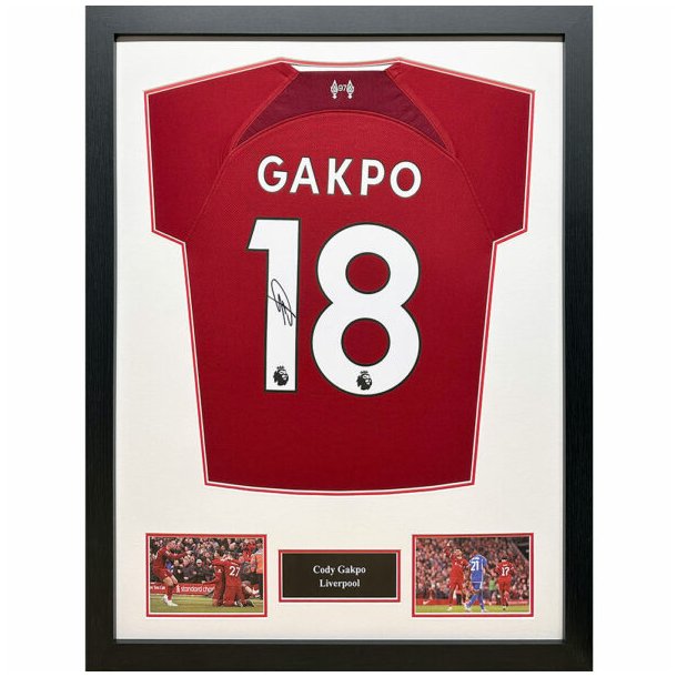 Liverpool FC Gapko signeret trje