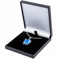 Chelsea FC Rustfri Stl Halskde Med Farvet Lve i Gaveske