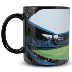 Aston Villa FC Krus