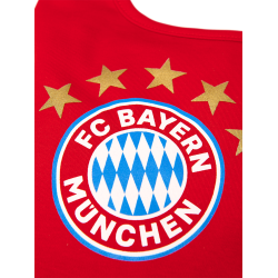 F.C. Bayern Mnchen 2 stk. Hagesmk