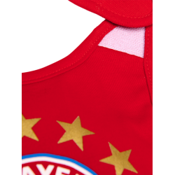 F.C. Bayern Mnchen 2 stk. Hagesmk