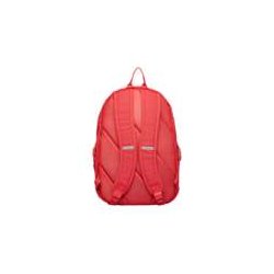 F.C. Bayern Mnchen Rygsk