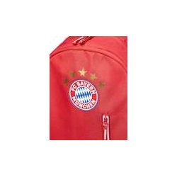 F.C. Bayern Mnchen Rygsk
