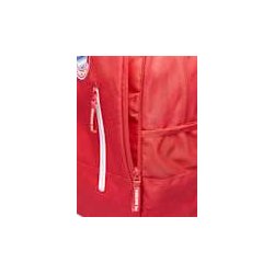 F.C. Bayern Mnchen Rygsk