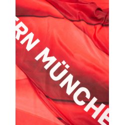 F.C Bayern Mnchen Sengetj
