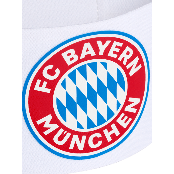 F.C. Bayern Mnchen Anfrerbind