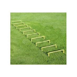 Rebstige H�kke med H�jde - 10 stk.