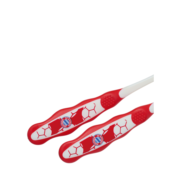 F.C. Bayern Mnchen Brnetandbrstest