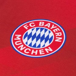 F.C Bayern Mnchen Udfoldelig Pude