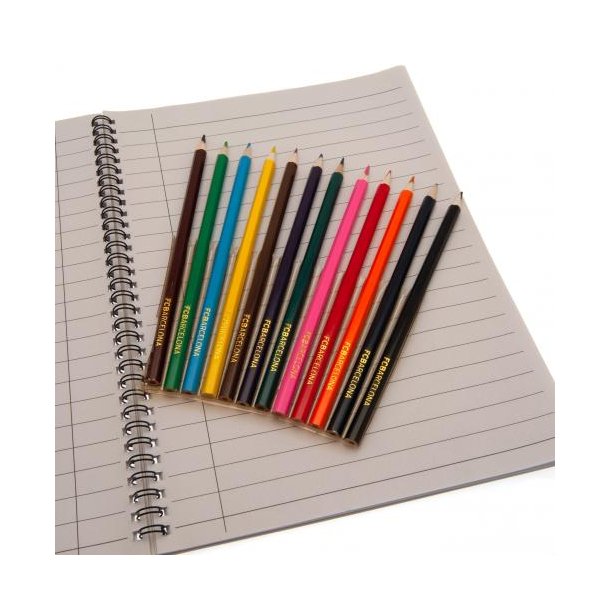 F.C. Barcelona Kontor - Skolest