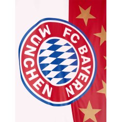 FC Bayern Mnchen Flag