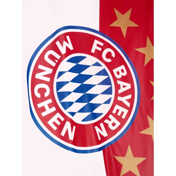FC Bayern Mnchen Flag