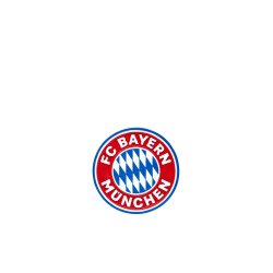 F.C. Bayern Mnchen magnet