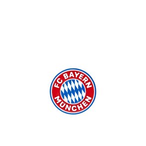 F.C. Bayern Mnchen magnet