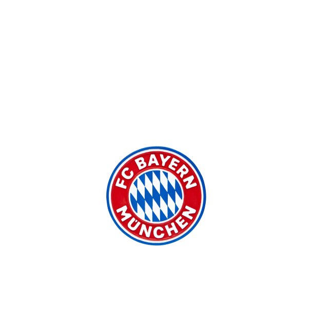 F.C. Bayern Mnchen magnet