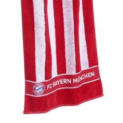 F.C. Bayern Mnchen Hndklde