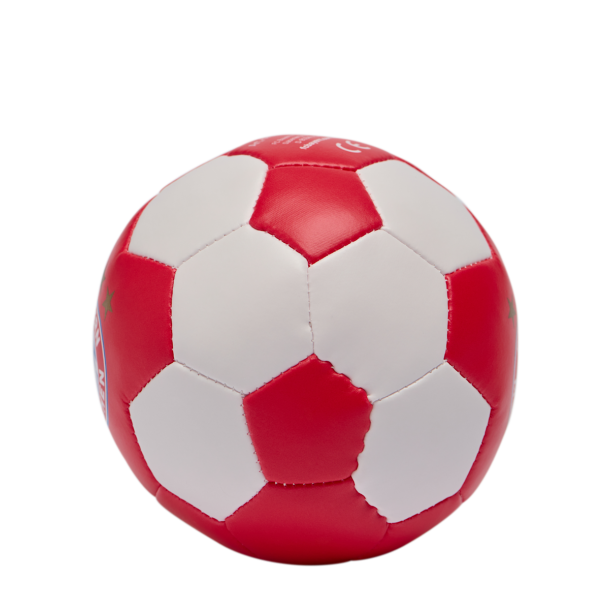 FC Bayern Mnchen 10 cm Bld Minibold