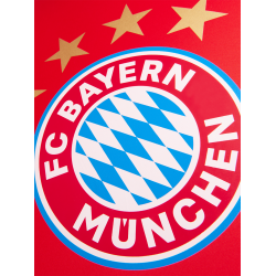 F.C. Bayern Mnchen Paraply 