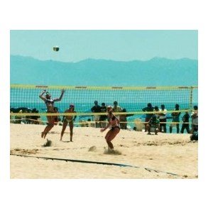 Volleyball net & Banemarkering